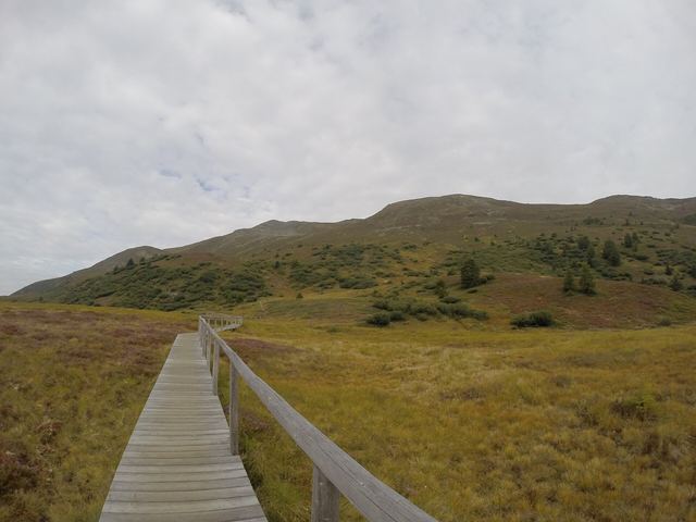 Holzsteg durch das Piller Moor